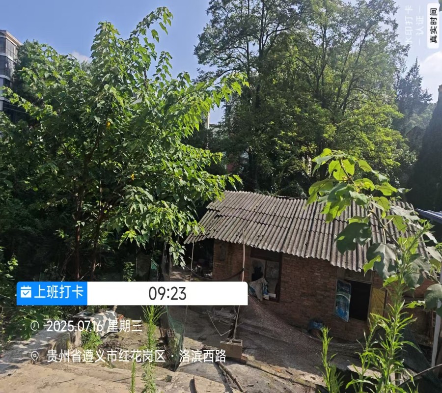 1755165244499968.jpg 圖片關(guān)鍵詞