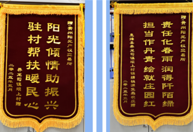 雙錦映紅鄉(xiāng)村振興路  陽光傾情澆灌壩上“春”——陽光產(chǎn)權(quán)交易所駐村幫扶獲贈(zèng)感恩錦旗