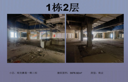 安龍翔龍嘉蓮項目（商業(yè)）